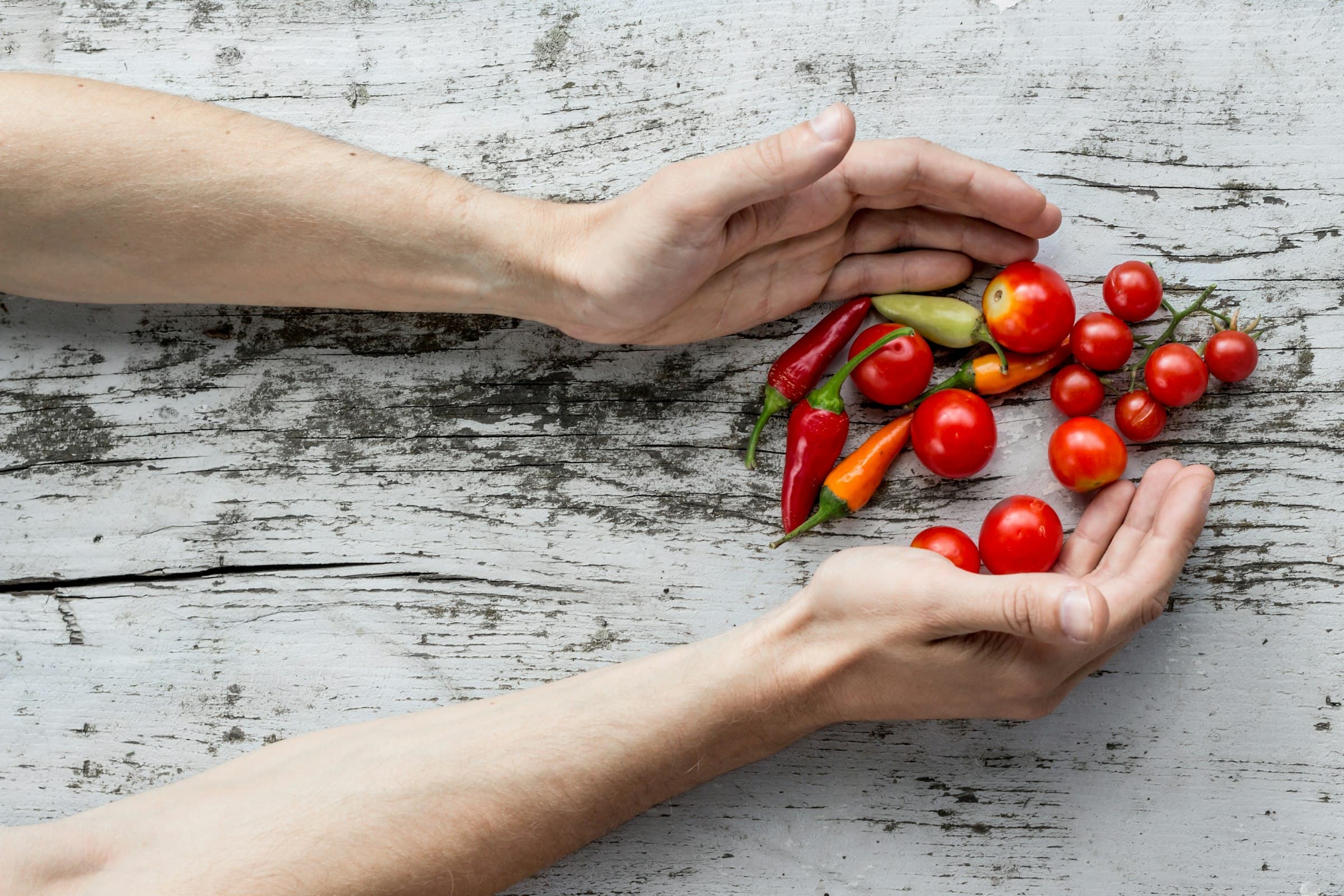 Cupped hands holding cherry tomatoes and small red chilli peppers over a weathered white table